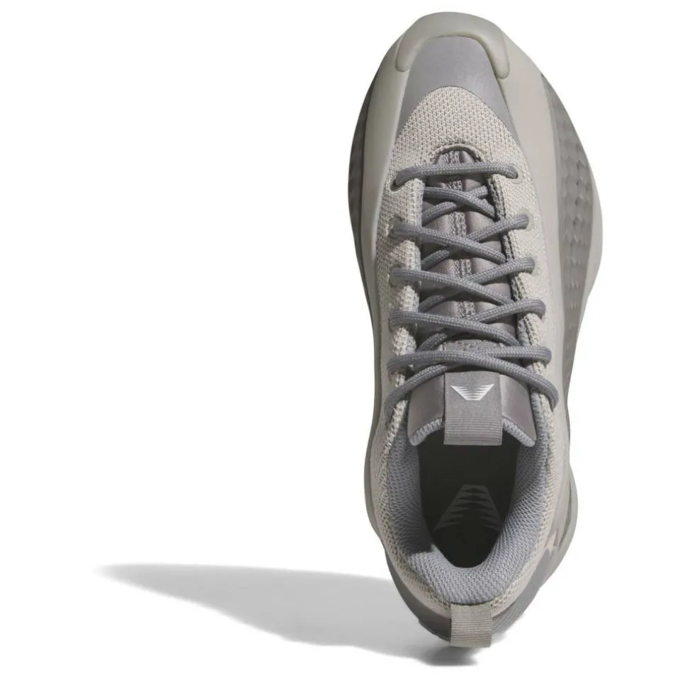 Adidas JR ANTHONY ED Jn52