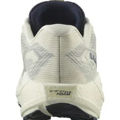 Aero Blaze 3 GTX Trail Running Shoes Mens