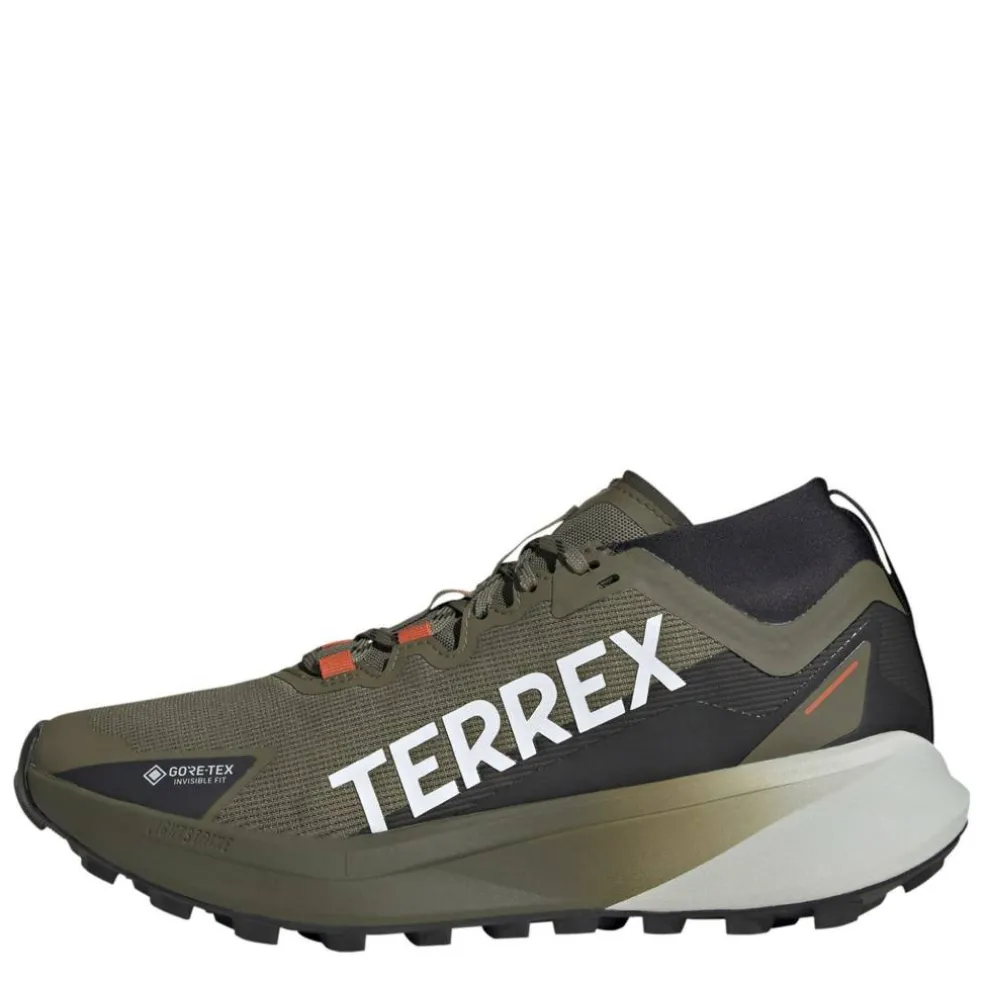 Agravic Gore-Tex Trail Running Shoes