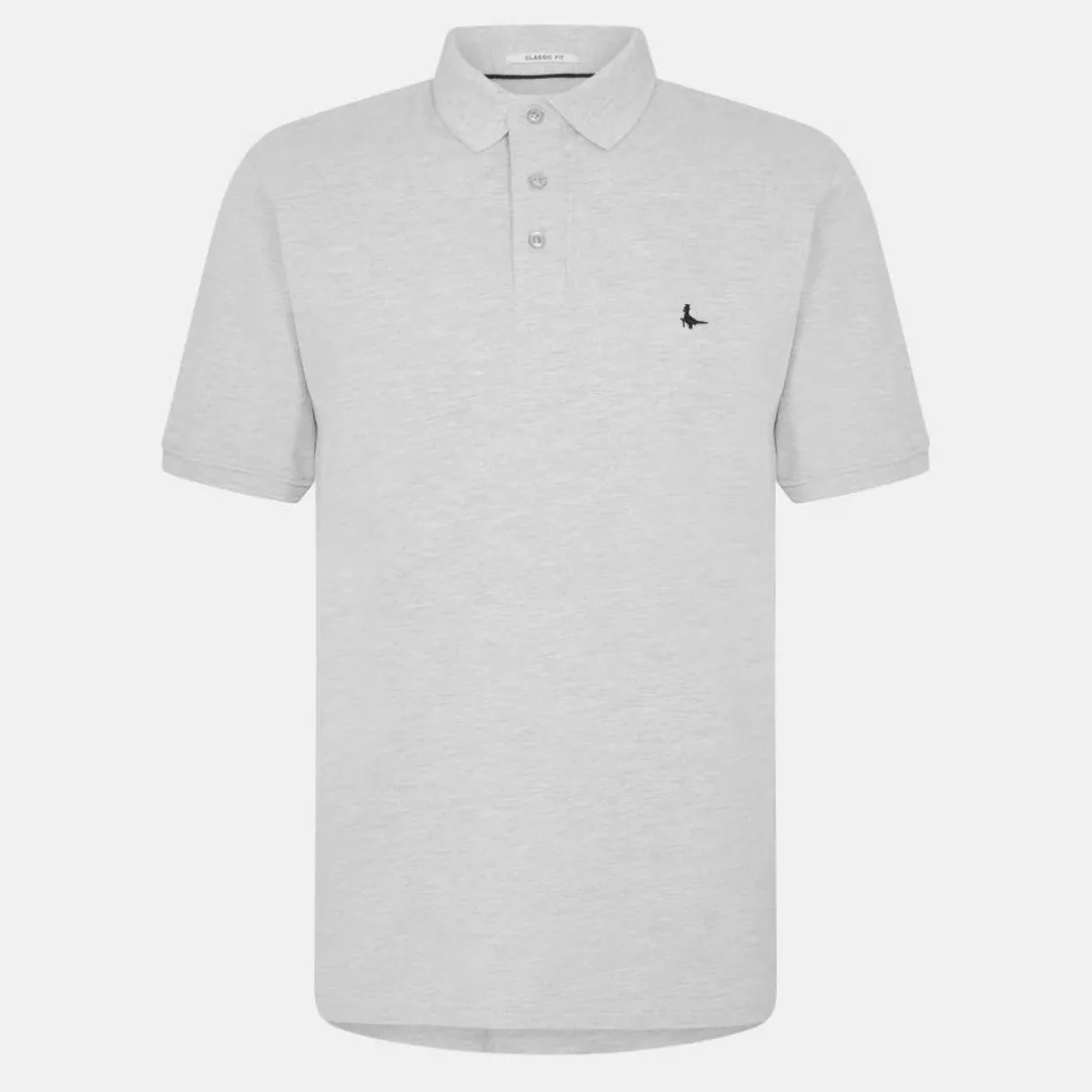 Aldgrove Classic Polo