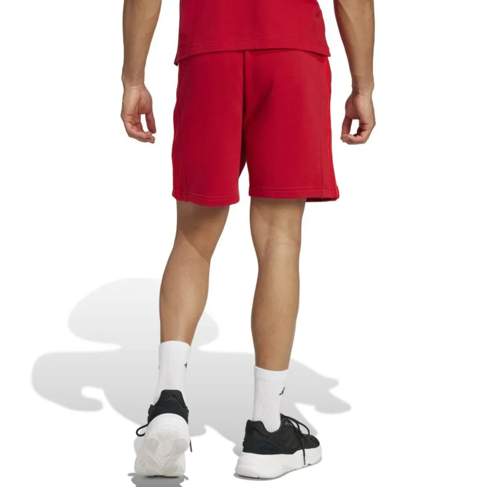 Bayern Munich DNA Shorts 2024 2025 Adults