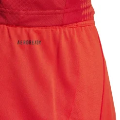 Bayern Munich Home Shorts 2024 2025 Adults