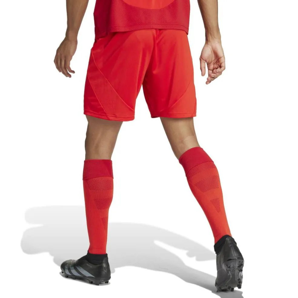 Bayern Munich Home Shorts 2024 2025 Adults