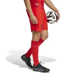 Bayern Munich Home Shorts 2024 2025 Adults