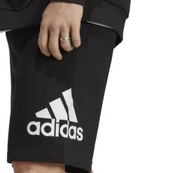 Big Logo French Terry Shorts Mens