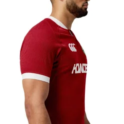 British & Irish Lions 2025 Authentic Shirt Mens