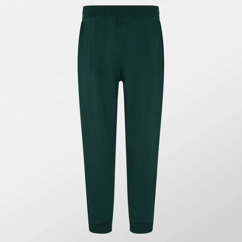 British & Irish Lions Tracksuit Bottoms 2025 Mens