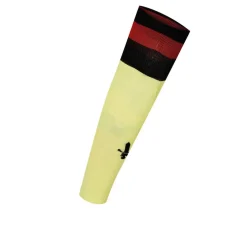 Charlton Athletic Goalkeeper Home Footless Socks Adults