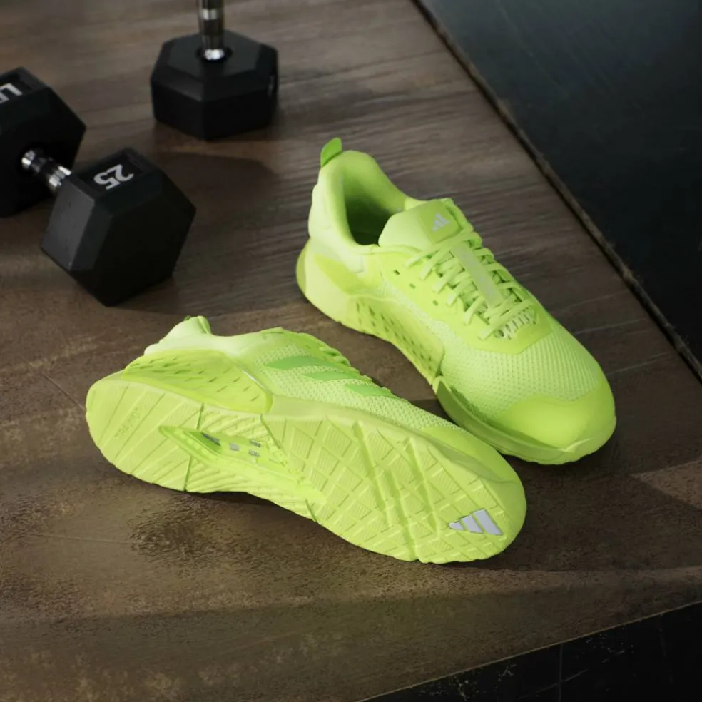 Dropset 3 Training Shoes