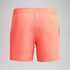 Essentials 16-inch Watershorts Mens