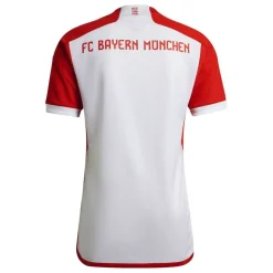FC Bayern Authentic Kit 2023 2024 Adults