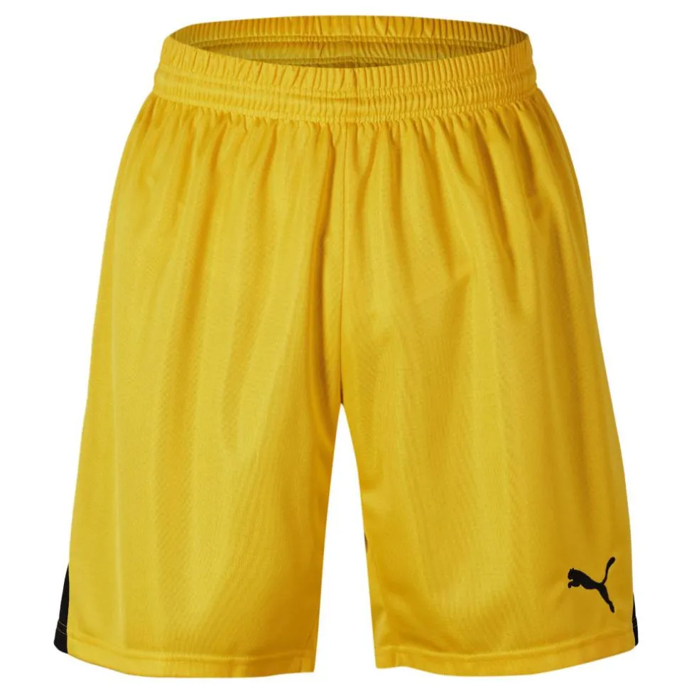 (F15) Swim Team Shorts With Innerbr Mens