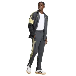 Men's Liverpool Licensed Tracksuit Bottoms