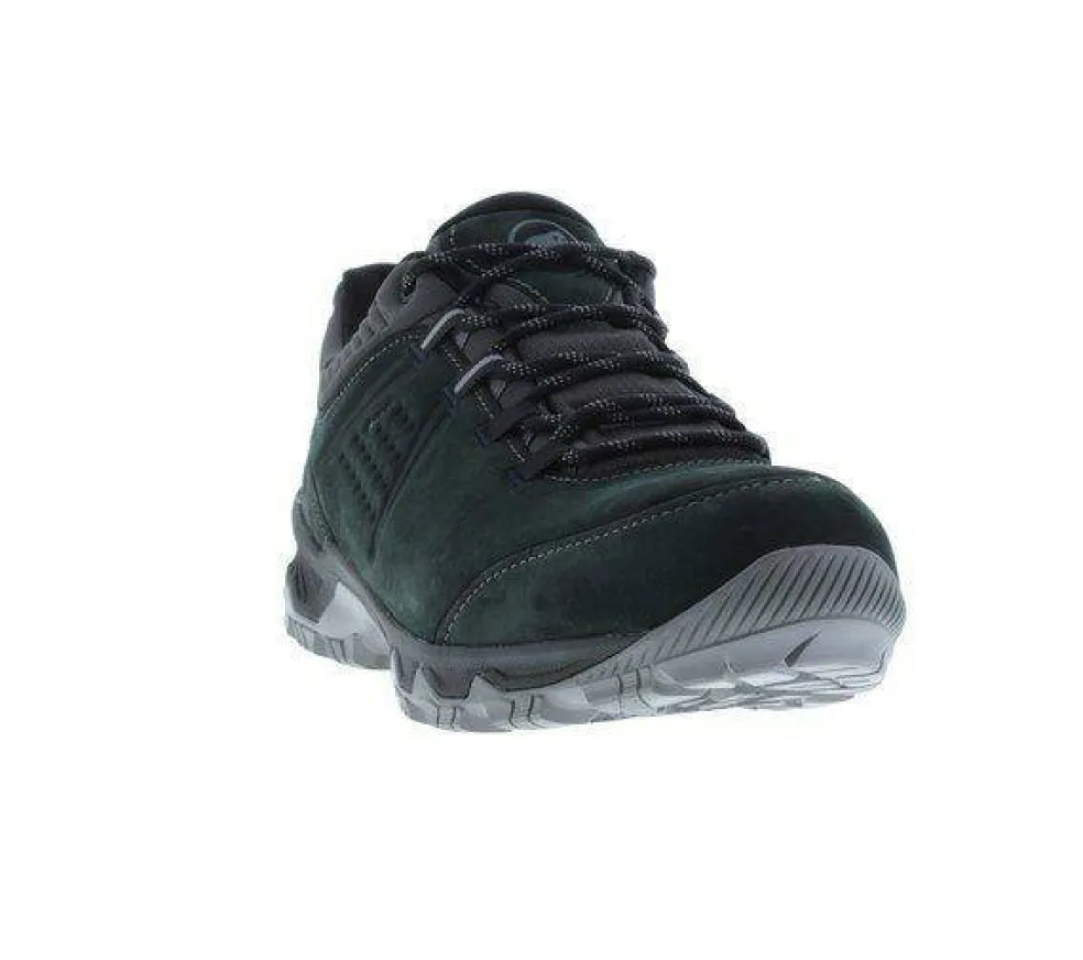 Men's Mercury Low Waterproof Hiking Shoes