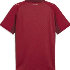 Mens Puma Stade Rennes 125th Home Kit 2025/2026