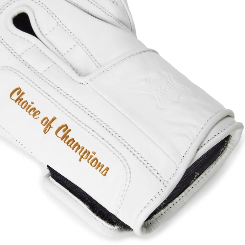 1910 Pro Leather Hook and Loop Boxing Gloves