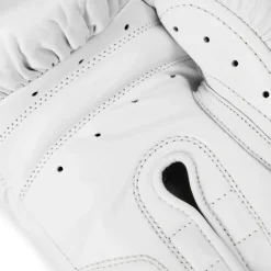 1910 Pro Leather Hook and Loop Boxing Gloves