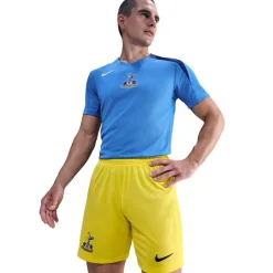 Tottenham Hotspur Third Shorts 2025 2026 Adults