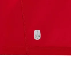 Welsh Rugby Union Home Shirt 2024 Adults